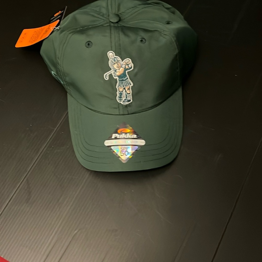 Michigan State hat - new